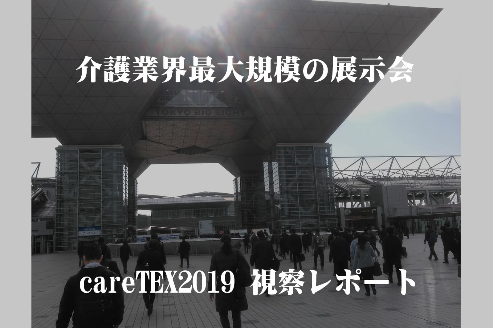 caretex2019視察レポート