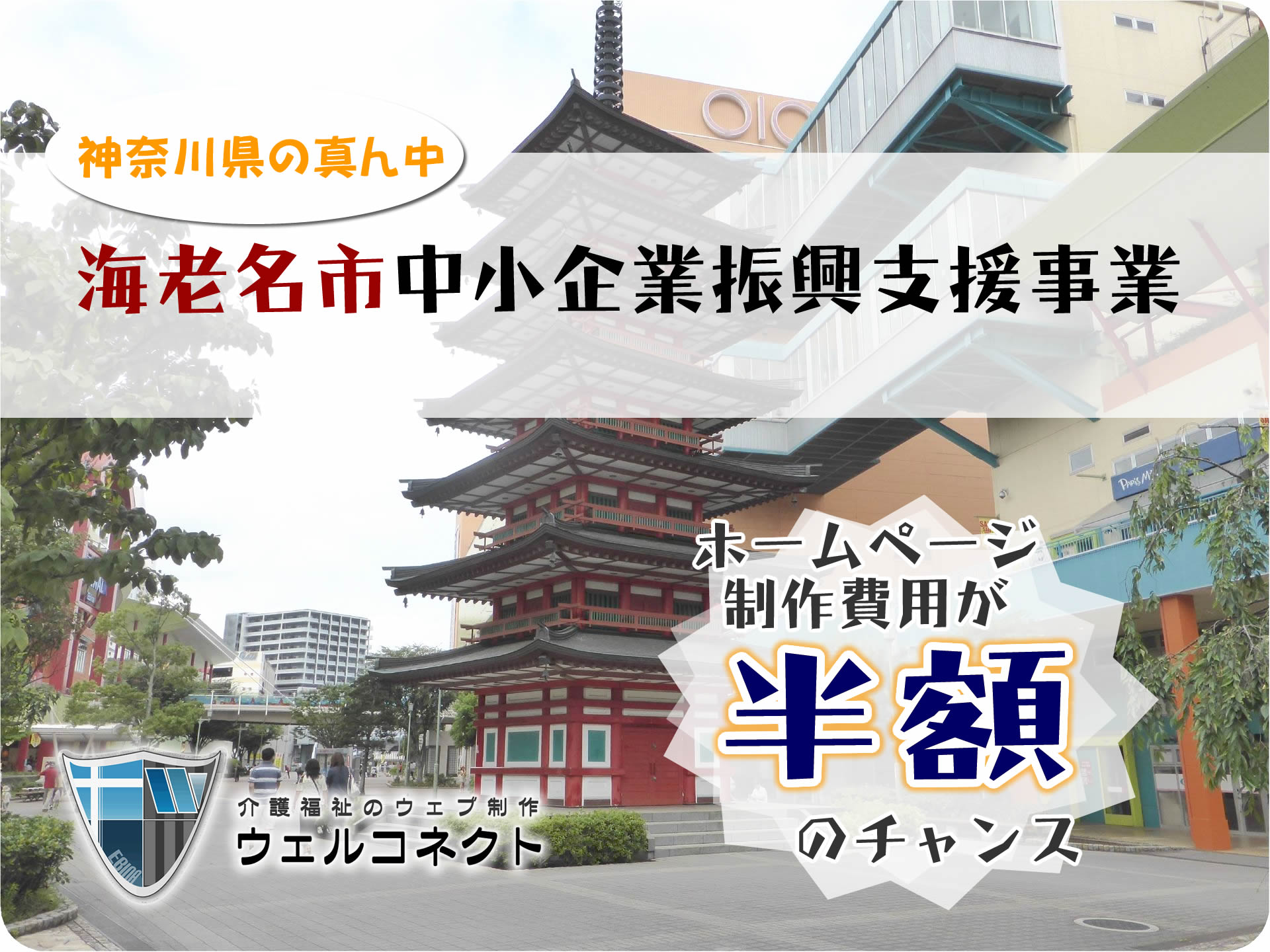 海老名市の中小企業に朗報、ホームページ制作費用が半額に！